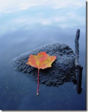 Zen Image by gryhnd on Stock Xchng