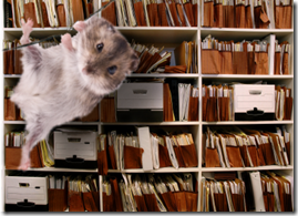 This is my stuff. Swinging from the rafters.